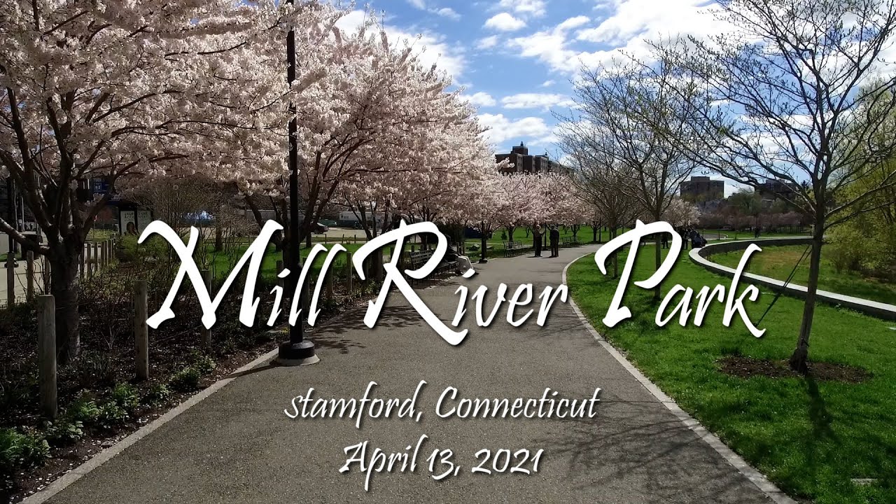 Mill River Park